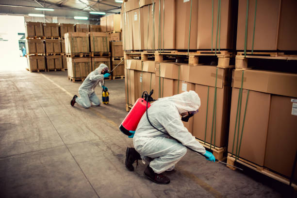 Best Best Pest Control Companies  in Agler Beach, FL