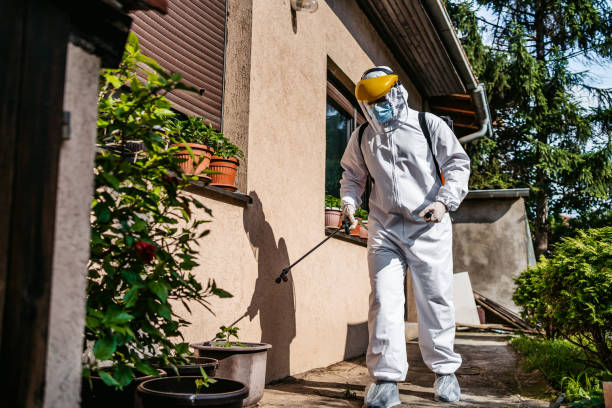 Best Affordable Pest Control Services  in Agler Beach, FL