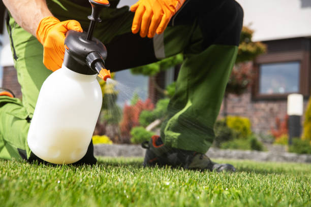 Best Pest Removal Services  in Agler Beach, FL