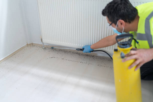 Best Exterminator Services  in Agler Beach, FL